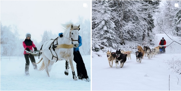C'est parti pour la saison d'hiver avec Takamaka Annecy
Plus d'infos sur nos activités en suivant le lien:
annecy.takamaka.fr/fr/p/sport-nat…