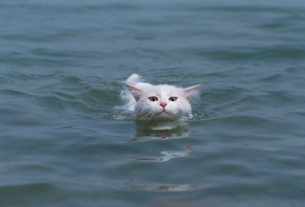 hîv. (@sorrrowfull) on Twitter photo 