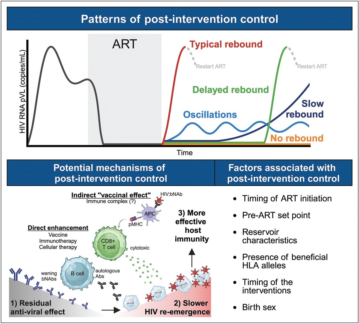 Asier Saez-Cirion (@asiersc) on Twitter photo "Post-intervention control in HIV immunotherapy trials" by <a href="/DemiSandel/">Demi Sandel</a> , <a href="/r_rutishauser/">Rachel Rutishauser (moving to bsky: rrutishauser)</a> and
<a href="/MichaelPelusoMD/">Michael Peluso, MD</a>, introduces the case of people who achieve ART free control after receiving additional therapeutic interventions.
journals.lww.com/co-hivandaids/… "Post-intervention control in HIV immunotherapy trials" by <a href="/DemiSandel/">Demi Sandel</a> , <a href="/r_rutishauser/">Rachel Rutishauser (moving to bsky: rrutishauser)</a> and
<a href="/MichaelPelusoMD/">Michael Peluso, MD</a>, introduces the case of people who achieve ART free control after receiving additional therapeutic interventions.
journals.lww.com/co-hivandaids/…