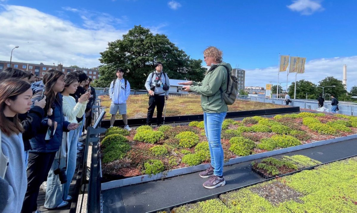 Leca® UK tweet media