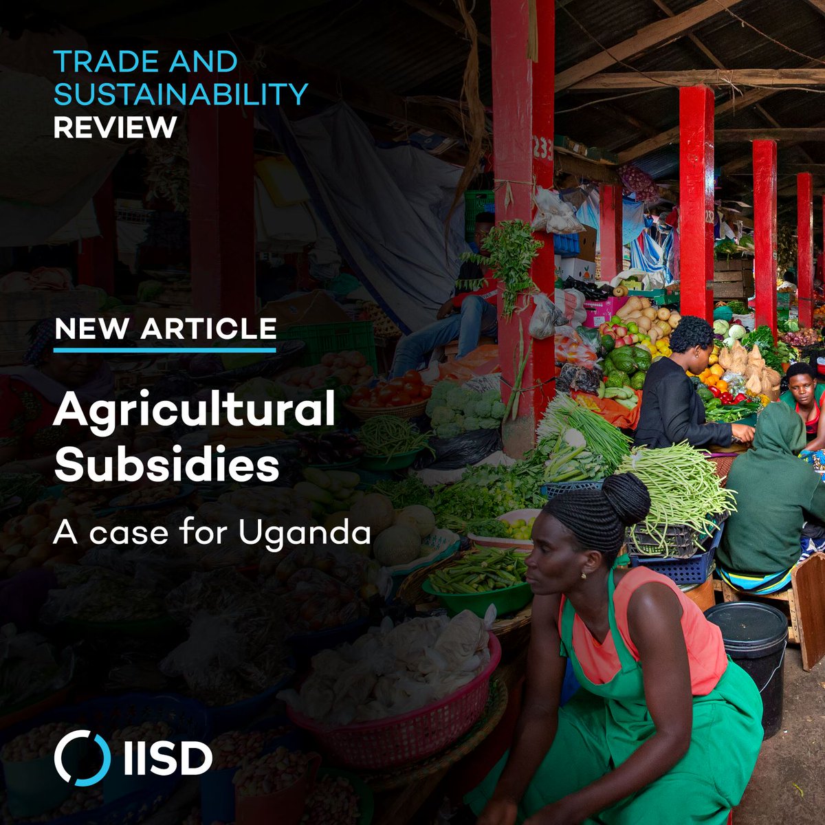 Subsidies are 🔑 to support agricultural production and #foodsecurity in #Uganda, but views on their impact vary.

<a href="/SeatiniU/">Jane Nalunga, Executive Director <a href="/SEATINIUGANDA/">SEATINI UGANDA</a></a> &amp; Jonathan Lubega from @SEATINIUGANDA examine Uganda’s agricultural subsidies and propose redesigns for sustainability 🌍🌱 bit.ly/3ZuSgdj
