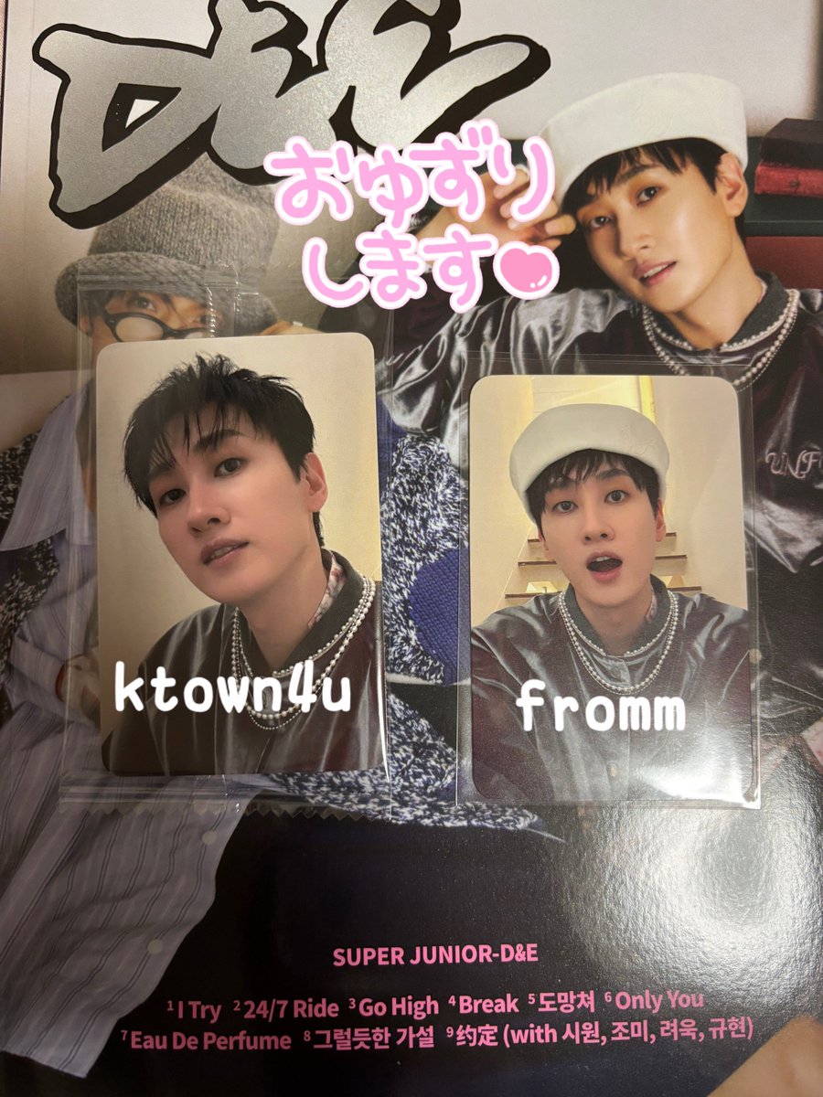 SUPERJUNIOR D&E ライスフォース ドンへ トレカ ライスフォース