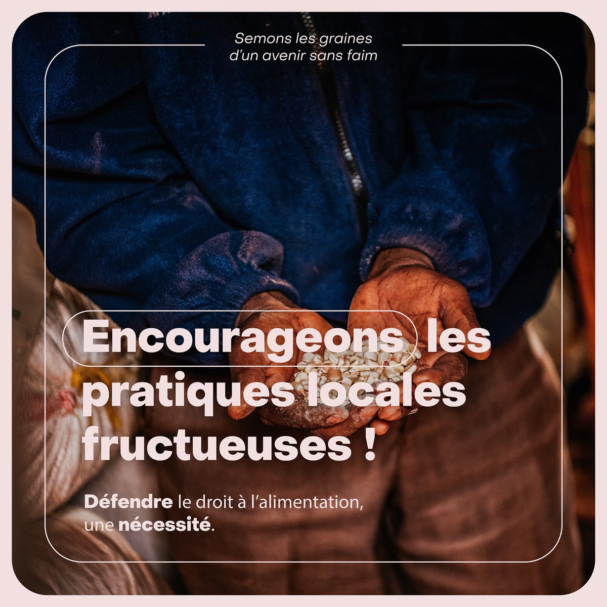 Chaque graine, à son échelle, a le pouvoir de faire changer les choses. 👐
Chez Iles de Paix, nous soutenons aussi la création de banques de semences locales.