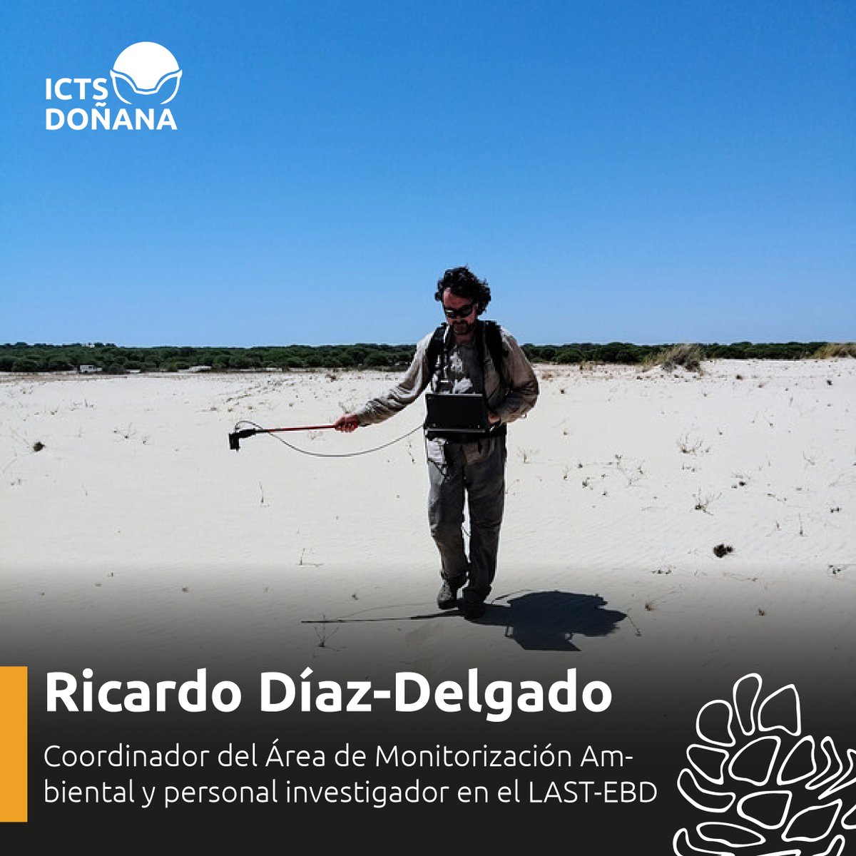 🌿Ricardo también es responsable de los seguimientos de vegetación terrestre y marisma, los procesos geomorfológicos, de inundación de la marisma y los cambios de usos en el entorno del END

#ICTSNews #LaboratorioVivo #Ciencia #Biodiversidad #Doñana #ICTSDoñana