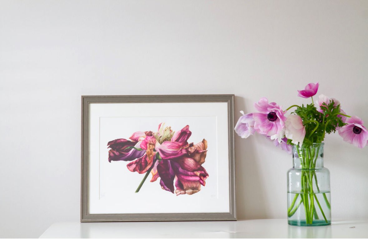 Timeless botanical artwork. Shop prints ➡️ etsy.com/shop/annadowda…