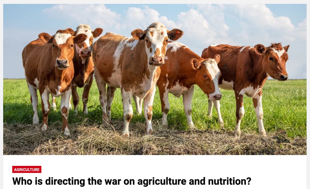 KlimaOmbud_no's tweet image. This is GREENWASHING: BOVAER &amp;amp; 3-NOP
How much global warming is methane on track to produce?
Methane in the air is 1.9 ppm or 0.00019% and is increasing 0,007 ppm annually.
By 2100 it will be 2.4 ppm or 0.00024%.
It will lead to less than 0.1 degrees of warming...and: