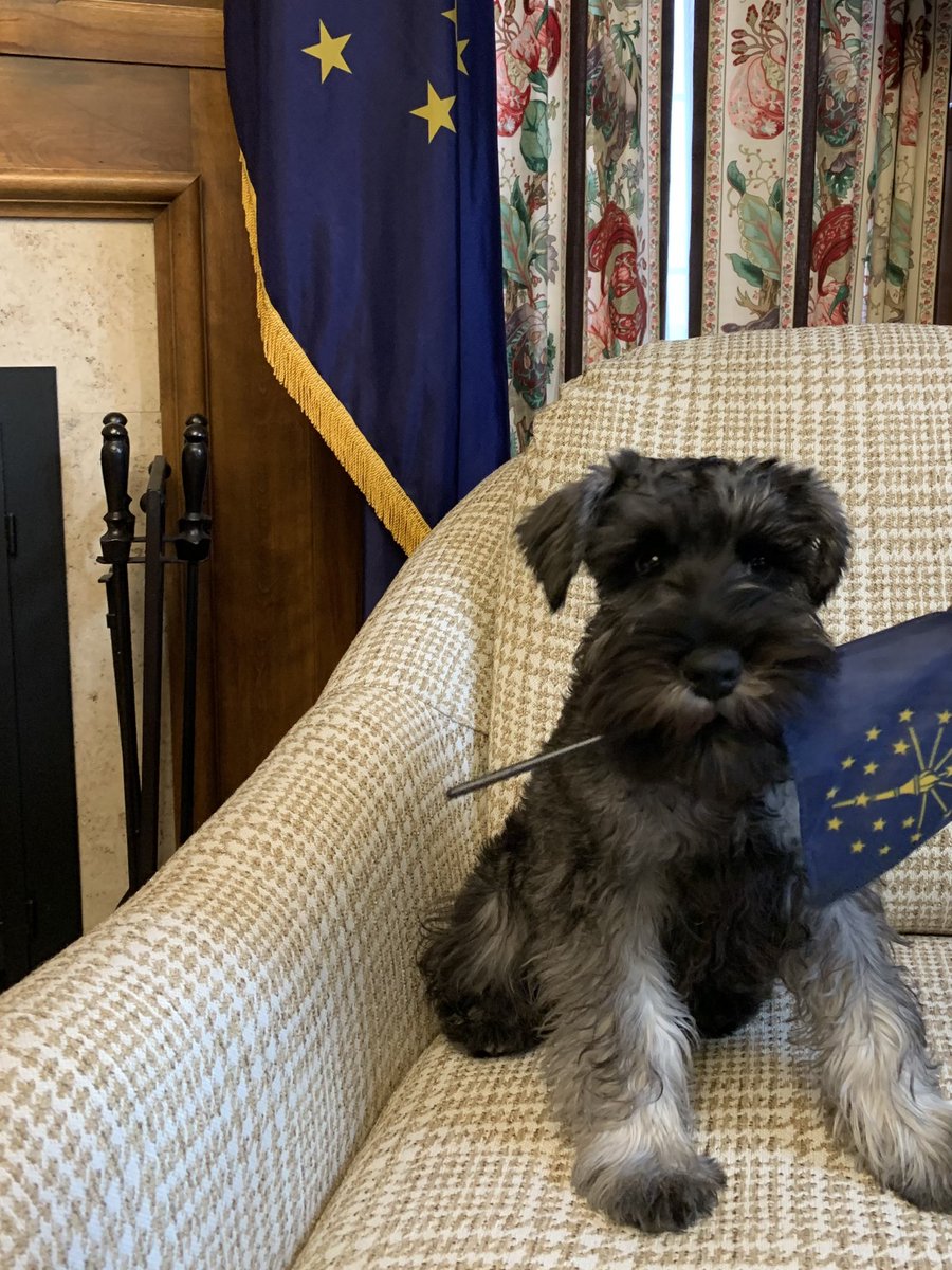 Oliver Holcomb tweet media