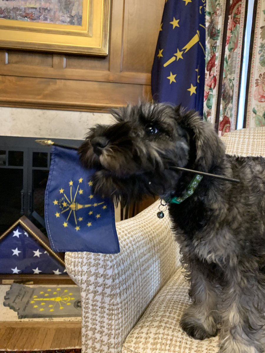 Oliver Holcomb tweet media