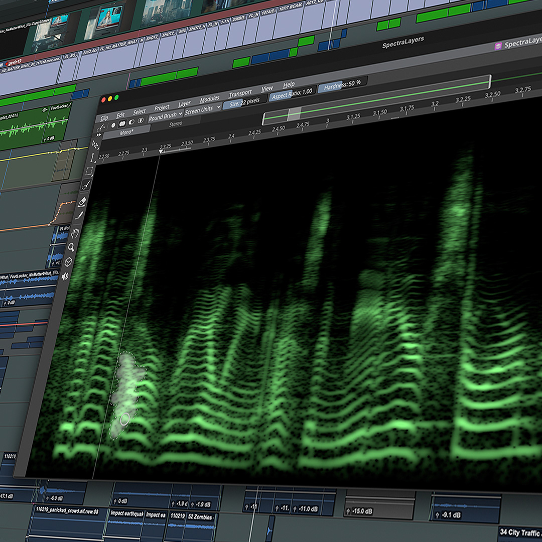 AvidProTools's tweet photo. Get the @SteinbergMedia SpectraLayers Go ARA plugin—free with your active subscription or perpetual upgrade plan
▶️ https://t.co/zIJNyHQmup
#protools #steinberg #spectralayers #midi #dolbyatmos #musicproduction #avidprotools #daw #avid https://t.co/ZzZeP33Gi3
