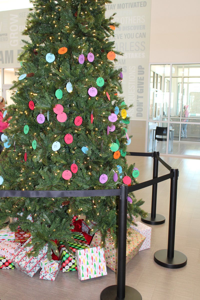 RainesAcademy's tweet photo. As students complete courses in Dec, they are decorating our tree &amp; have a chance to win gifts on Dec 20.  Ending the semester strong @RainesAcademy #OneLeafAtaTime https://t.co/jOjwpSUUqO