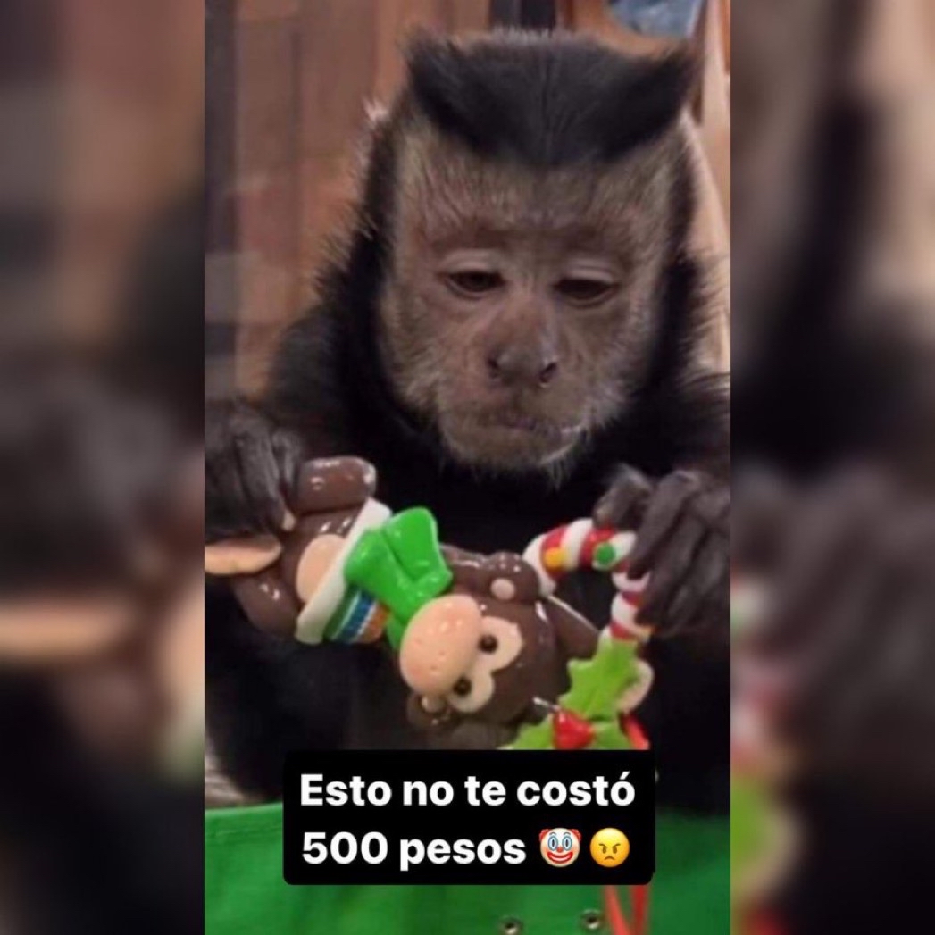 Guarromantico_'s tweet photo. Yo en el intercambio abriendo el regalo que me dieron: https://t.co/GxMaY7JRQh