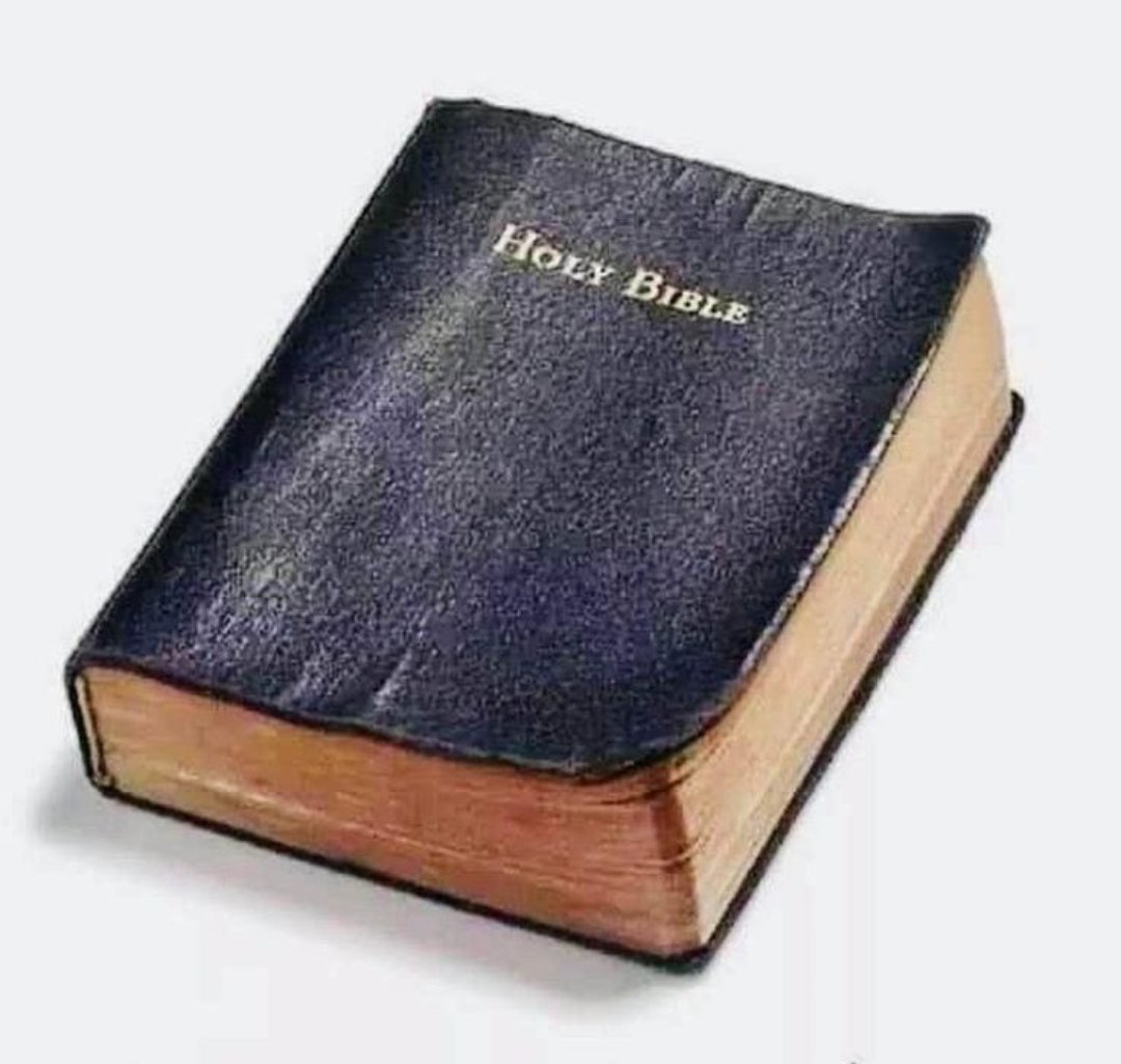 lindz_malindz's tweet photo. Do not underestimate this book, it has answers to all your problems😌🔥🔥 https://t.co/IxHk7ZCdLD