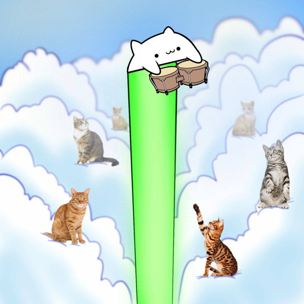 Bongo Cat tweet media