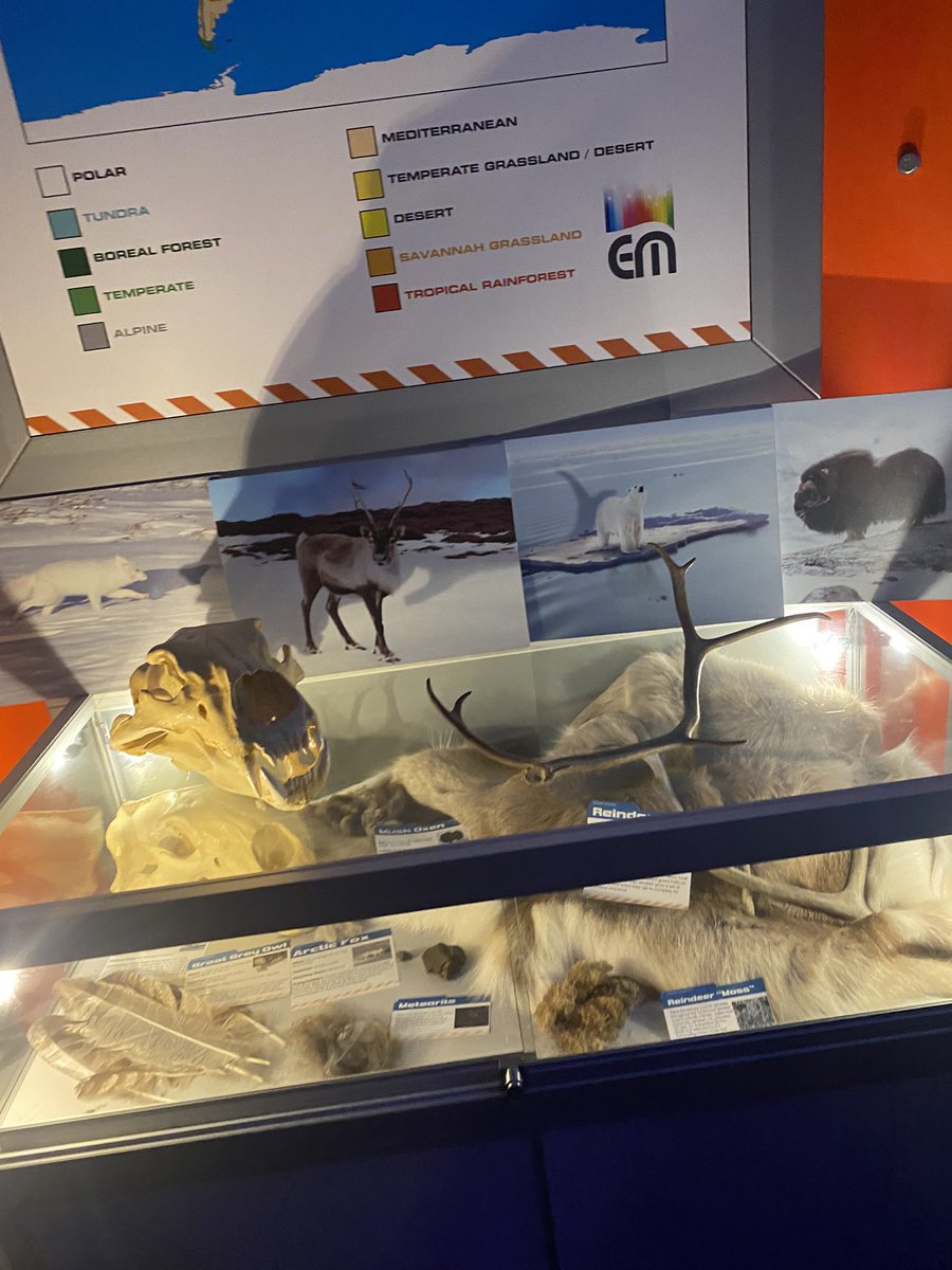 WCHS Humanities tweet media