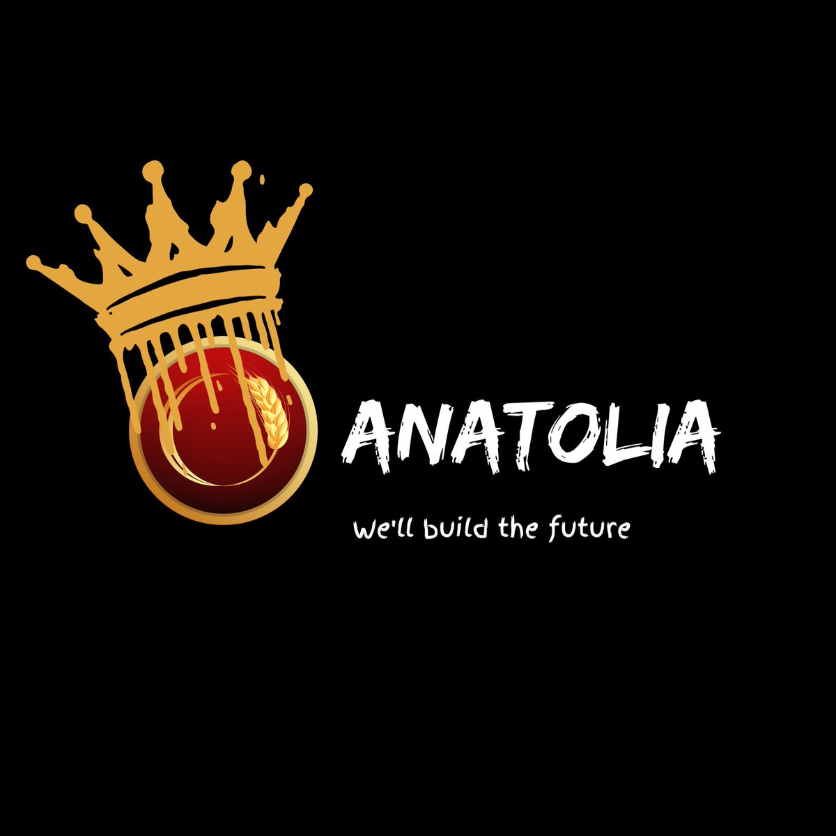 AnatoliaToken's tweet photo. Future 🌾

#Anatolia #Andx #Bitcoin #btc #bnb #coin #crypto https://t.co/ZuZNCplOQS