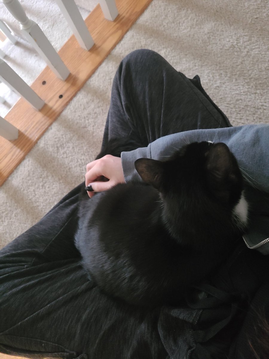 𝖙𝖍𝖊 𝖕𝖆𝖑𝖊 𝖊𝖑𝖋. tweet media