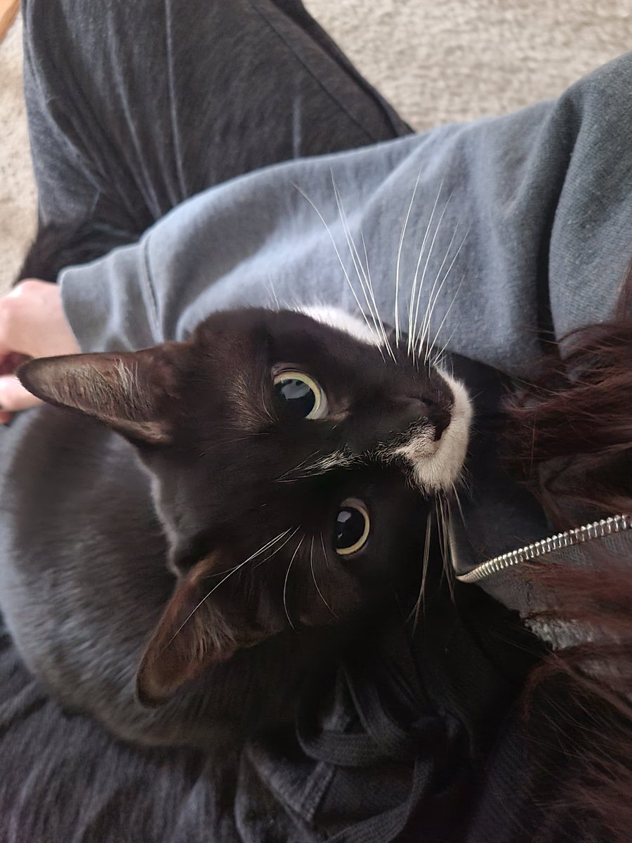 𝖙𝖍𝖊 𝖕𝖆𝖑𝖊 𝖊𝖑𝖋. tweet media