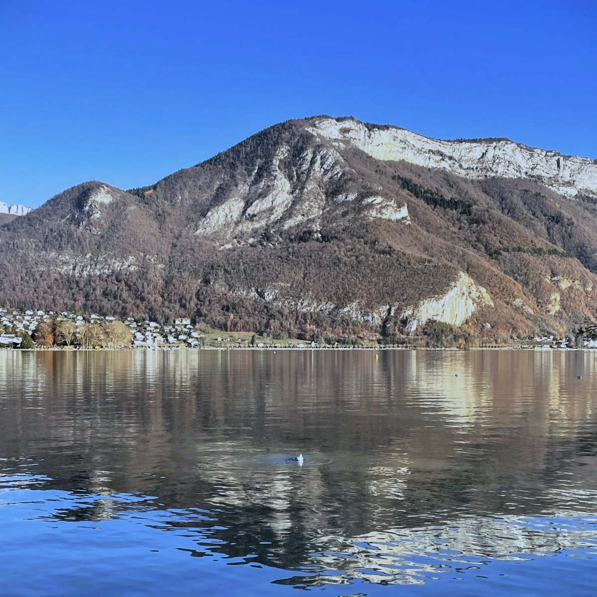 Le calme du lac d'Annecy au mois de décembre. ✨