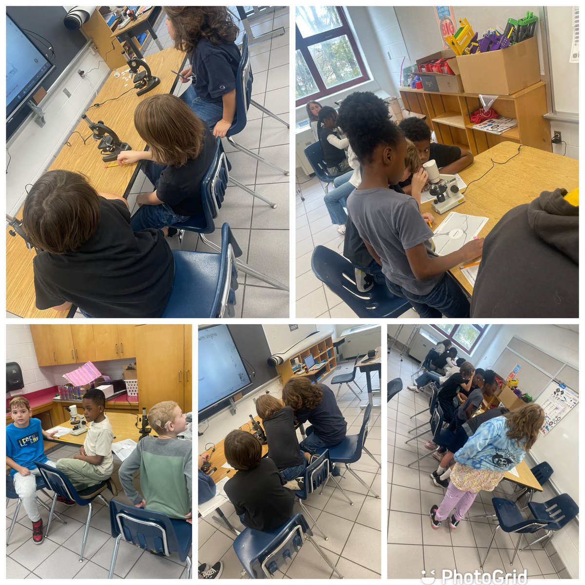 Stephanie Marshall (@smars0194) on Twitter photo Our students were very excited to use microscopes to examine phytoplankton and zooplankton from Virginia Beach ocean water! <a href="/CLESDolphins/">CLESDolphins</a> <a href="/teacherkenney/">Jackie Kenney, Ed. S.</a> <a href="/jehaws/">Jennifer Haws</a> <a href="/JessieComba/">Jessie Comba (she/her)</a> #CLES #BetterTogether 🐬❤️ <a href="/msvirtue7/">Kate Virtue</a> #4thgrade Our students were very excited to use microscopes to examine phytoplankton and zooplankton from Virginia Beach ocean water! <a href="/CLESDolphins/">CLESDolphins</a> <a href="/teacherkenney/">Jackie Kenney, Ed. S.</a> <a href="/jehaws/">Jennifer Haws</a> <a href="/JessieComba/">Jessie Comba (she/her)</a> #CLES #BetterTogether 🐬❤️ <a href="/msvirtue7/">Kate Virtue</a> #4thgrade