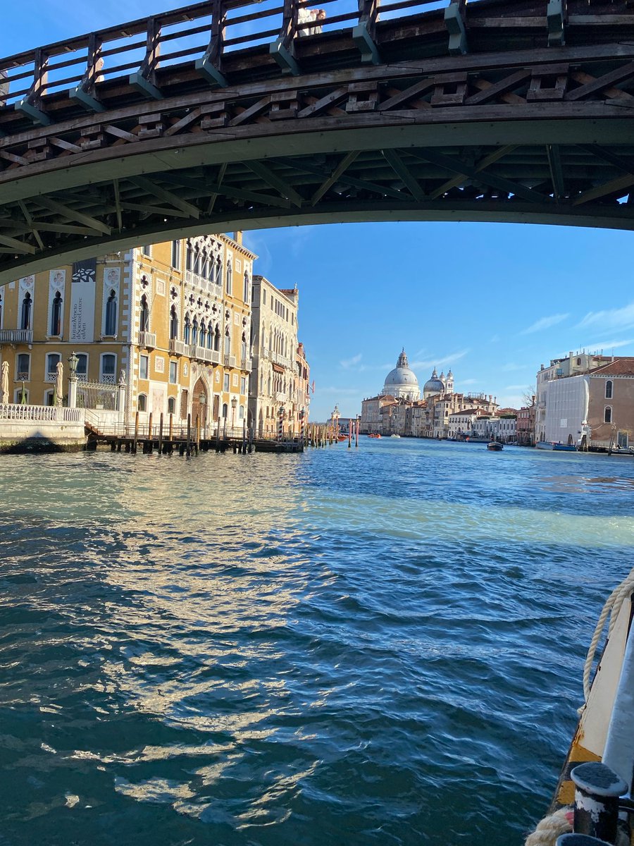 Jill Kerby tweet media