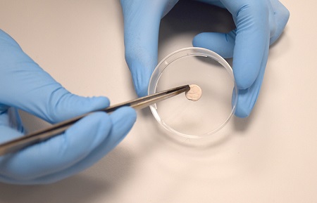 .<a href="/UCV_svm/">Universidad Católica de Valencia</a> El equipo del catedrático Ángel Serrano desarrolla nuevos materiales antipatógenos para productos textiles, de limpieza y alimentación biotech-spain.com/es/articles/el…