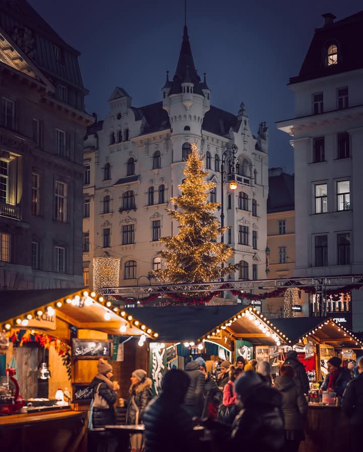 ElfieNeuberger's tweet photo. Christmastime in
Vienna💛🎄
Happy evening✨
Schönen Abend🌟
#Weihnachtsmarkt
#AmHof https://t.co/Aizrct9Bhz