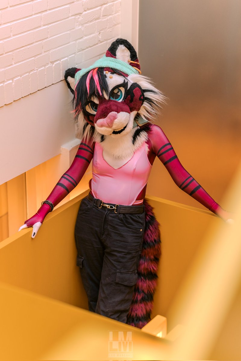 ππ MiesdoCreations ππ (@miesdocreations) on Twitter photo Take that step β¨
________
Picture by <a href="/ManchasLeo/">Leo Manchas~</a>
Fursuit made and owned by me
Pet suit by <a href="/CreatureSTX/">Creature Aesthetics</a>
#furry #fursuit Take that step β¨
________
Picture by <a href="/ManchasLeo/">Leo Manchas~</a>
Fursuit made and owned by me
Pet suit by <a href="/CreatureSTX/">Creature Aesthetics</a>
#furry #fursuit