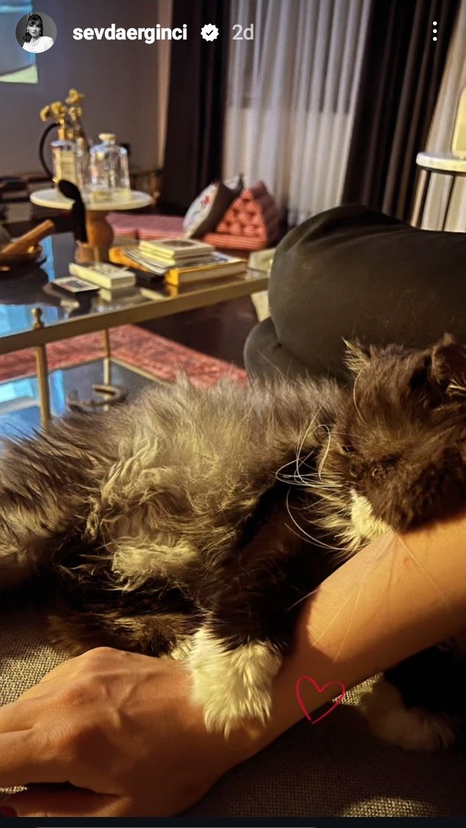 Şu an Leyloştan mutlusu  yoktur zaten, annesi yanında, birlikte vakit geçiriyorlar doya doya , ohh miss..😅😽 #SevdaErginci ❤