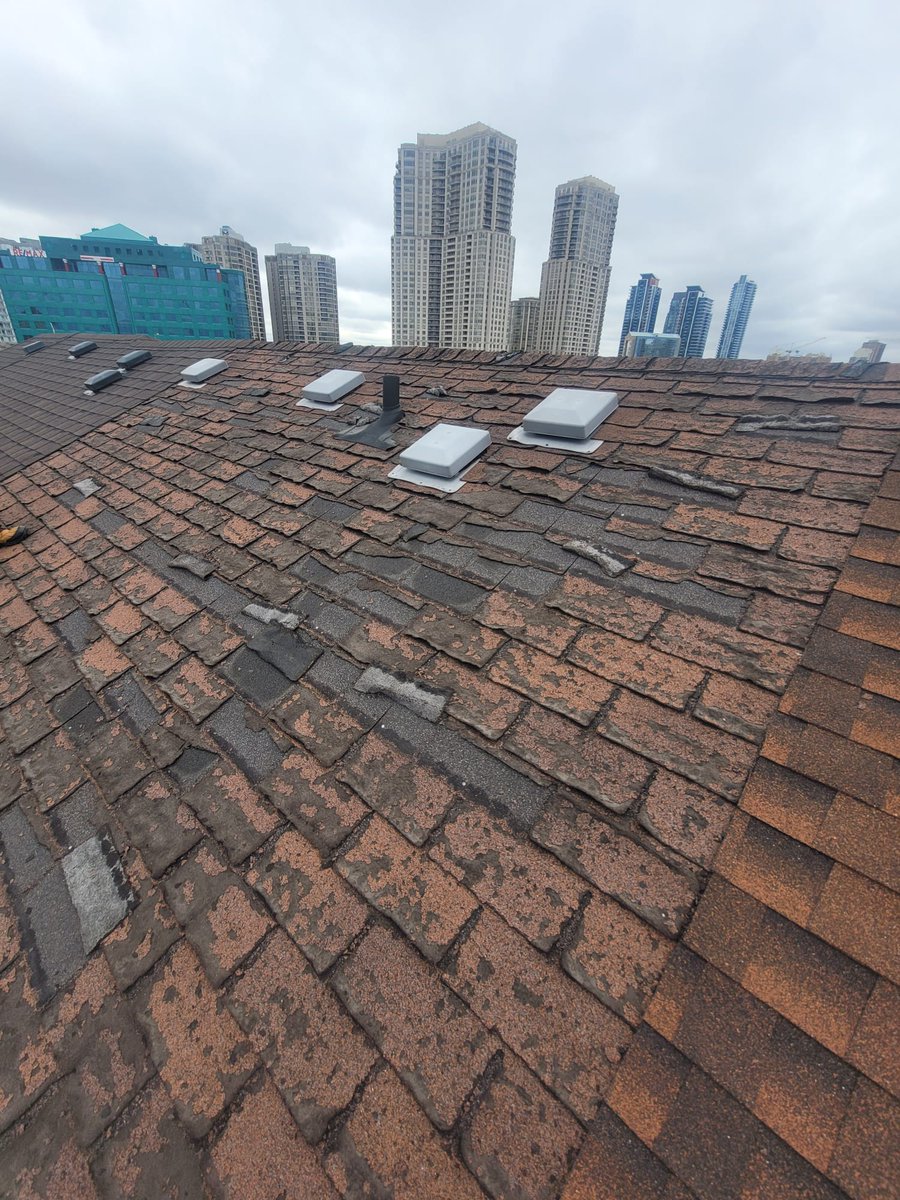 Attention GTA homeowners! Is your shingle roof failing or poorly done? Toronto Roofing Services has you covered. We offer shingle re-roofing to boost efficiency, appeal, and value. Quality materials, expert service. Call (416) 247-2769 or visit torontoroofrepairs.ca
#roofing