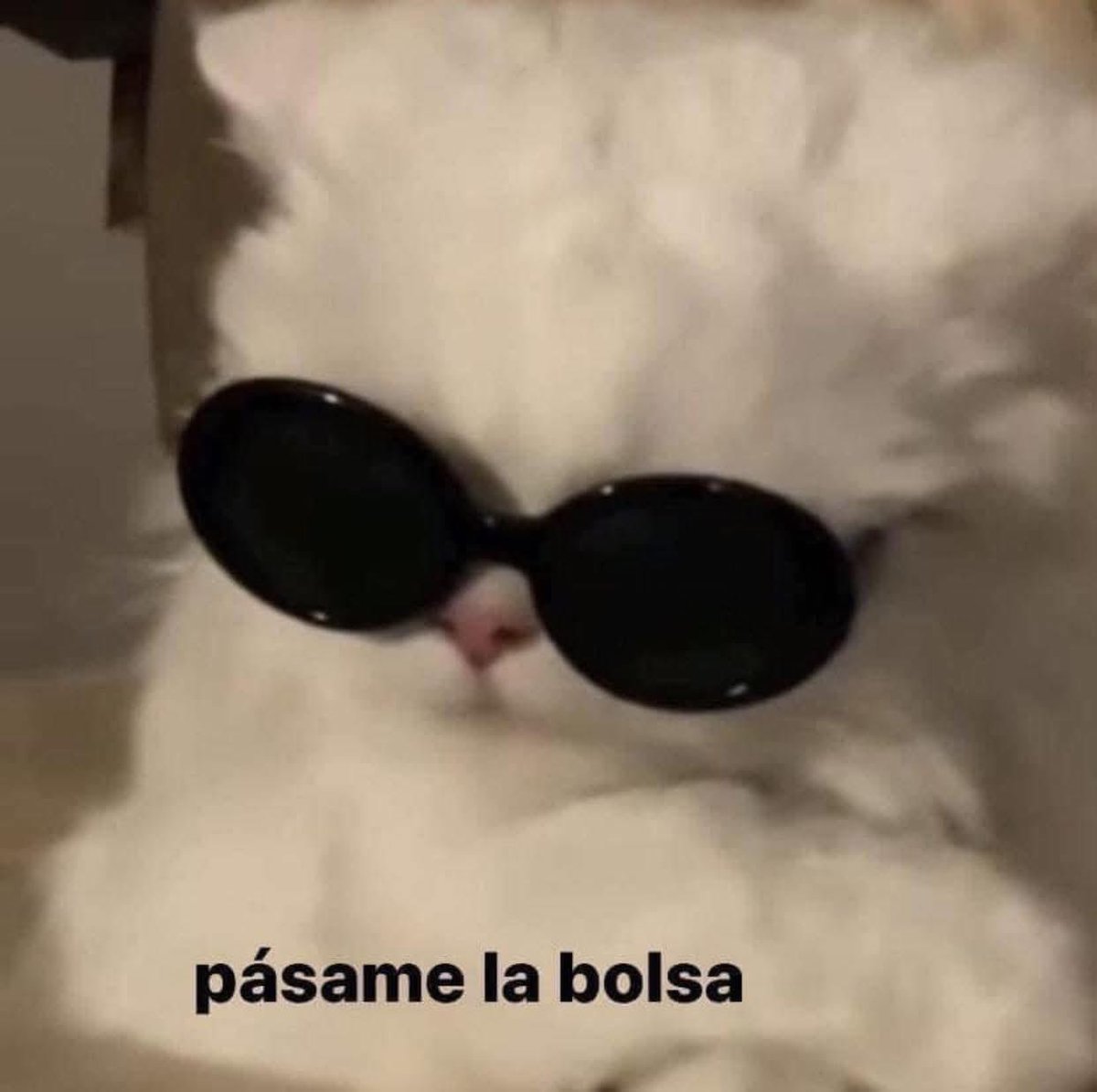iVelmaD's tweet photo. Yo cuando mi hermana me pide 1 peso para completar: https://t.co/y78jmqsBd2