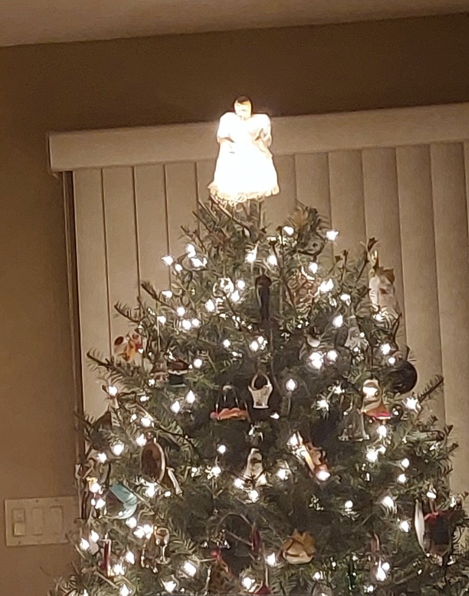 jonnyhammer66's tweet photo. Merry Christmas https://t.co/sHaHRUzAwu