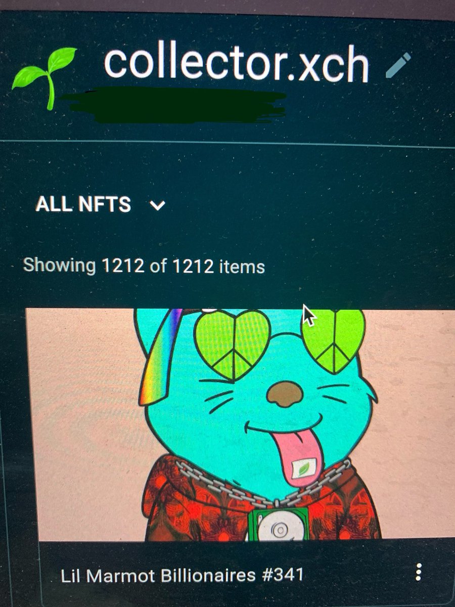 Show me your number 💎🌱 #chia $xch #nft