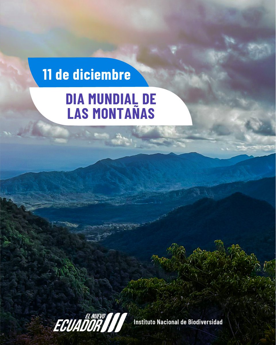INABIO_EC's tweet photo. ¿Sabías que de las 20 especies de plantas que aportan el 80% de los alimentos, seis se han originado y diversificado en las montañas? El #DíaMundialDeLasMontañas busca allanar el camino hacia un futuro más sostenible y resiliente para las comunidades y los ecosistemas de montaña. https://t.co/4hXQDP8D7e