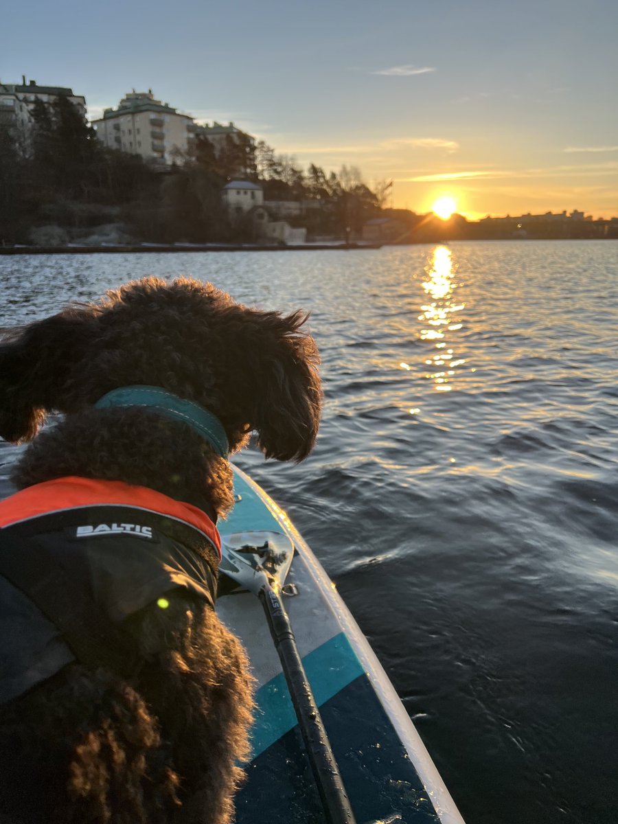 Craig Wheelock tweet media