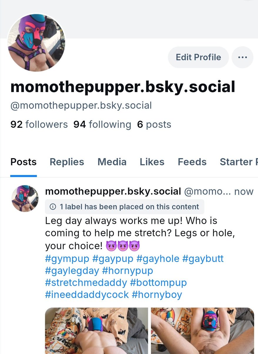 Momo_the_Pupper tweet media
