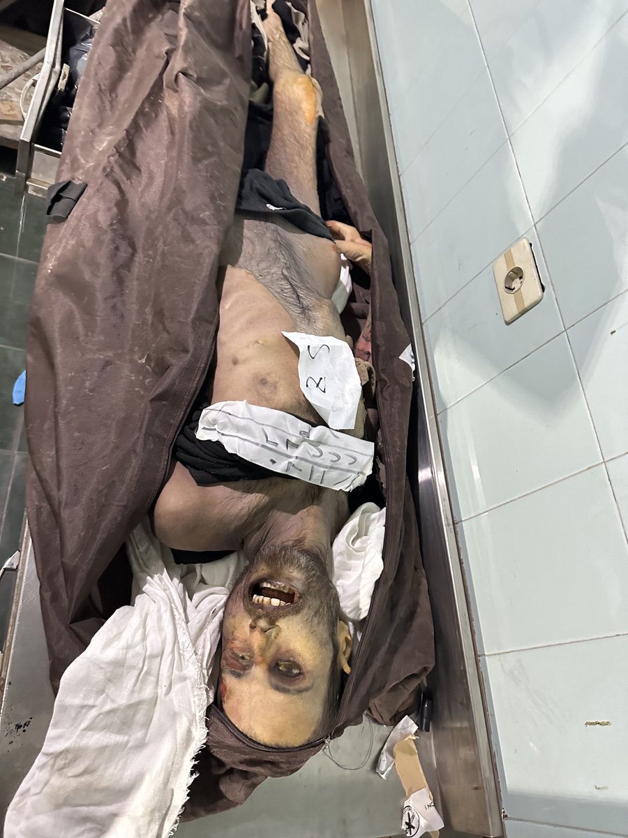 Leila Molana-Allen tweet media