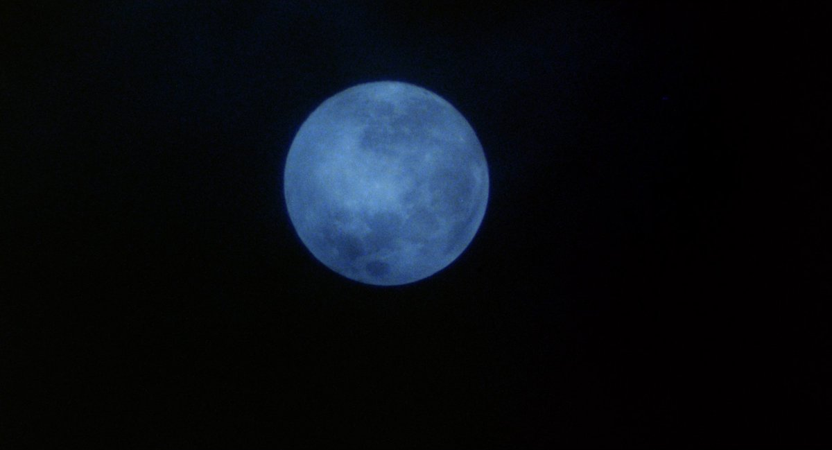HauntedMovies's tweet photo. An American Werewolf in London (1981) dir. John Landis https://t.co/FAtwhGc91L