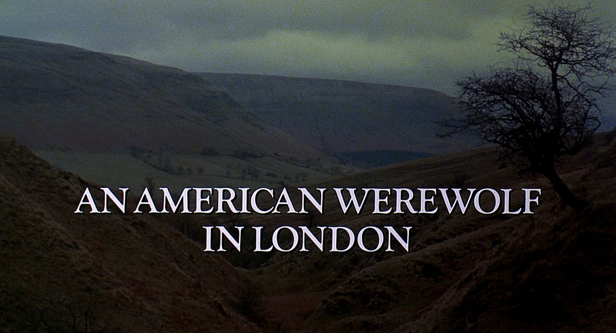 HauntedMovies's tweet photo. An American Werewolf in London (1981) dir. John Landis https://t.co/FAtwhGc91L