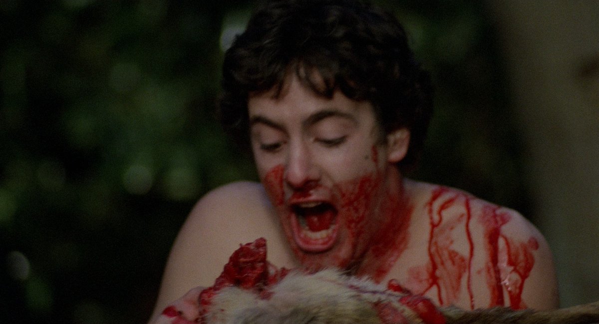 HauntedMovies's tweet photo. An American Werewolf in London (1981) dir. John Landis https://t.co/FAtwhGc91L