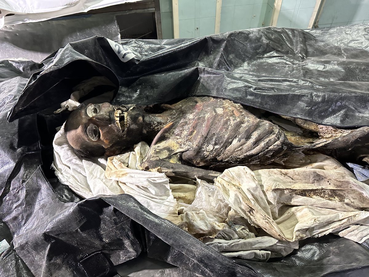 Leila Molana-Allen tweet media