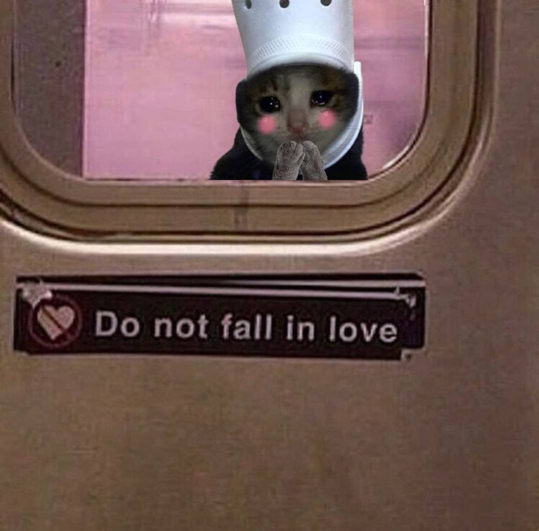 ecce986's tweet photo. @ale_ale_croc @ImCryptoMessiah @croccatofficial $croc https://t.co/RJHtd8CwLq
