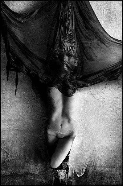 Wolves_Lair's tweet image. Her sanctity is sacred