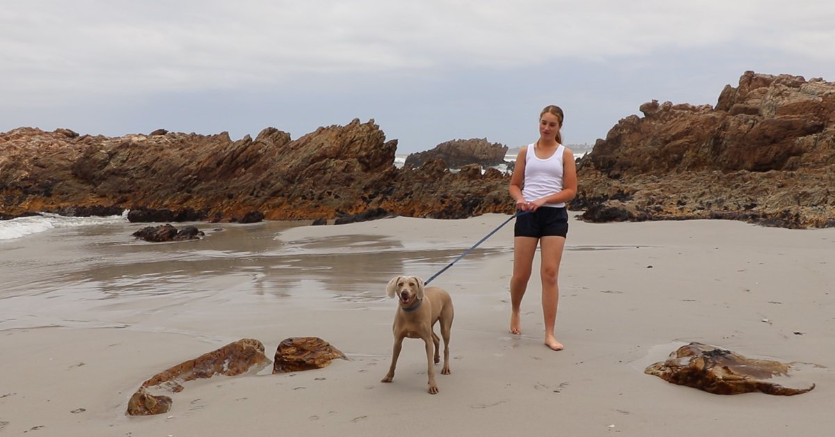 Pet Safety Matters

Keep dogs leashed on the beach, and never allow them to approach seals or dogs you don’t know. #Rabies can spread to pets, so ensure that their rabies vaccinations are up to date.

#ProtectYourPets #RabiesPrevention #StaySafe

Image credit: CapeNature