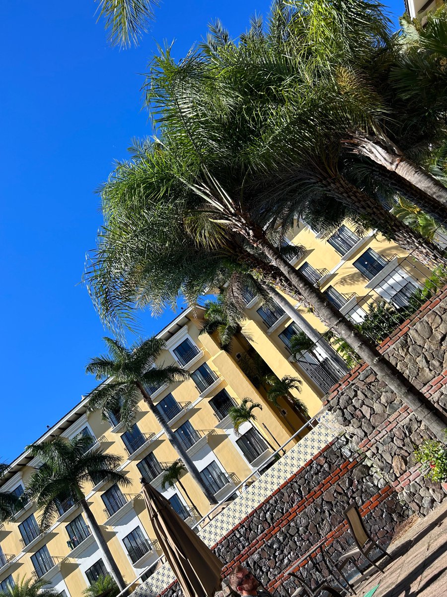 Cat Margulis tweet media