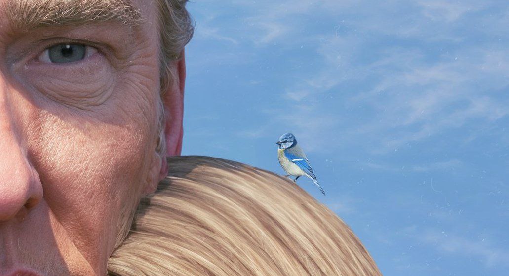 Mr President <a href="/DonaldTrump/">Donald J. Trump</a> 
 #BlueSparrow's Army
Is With You