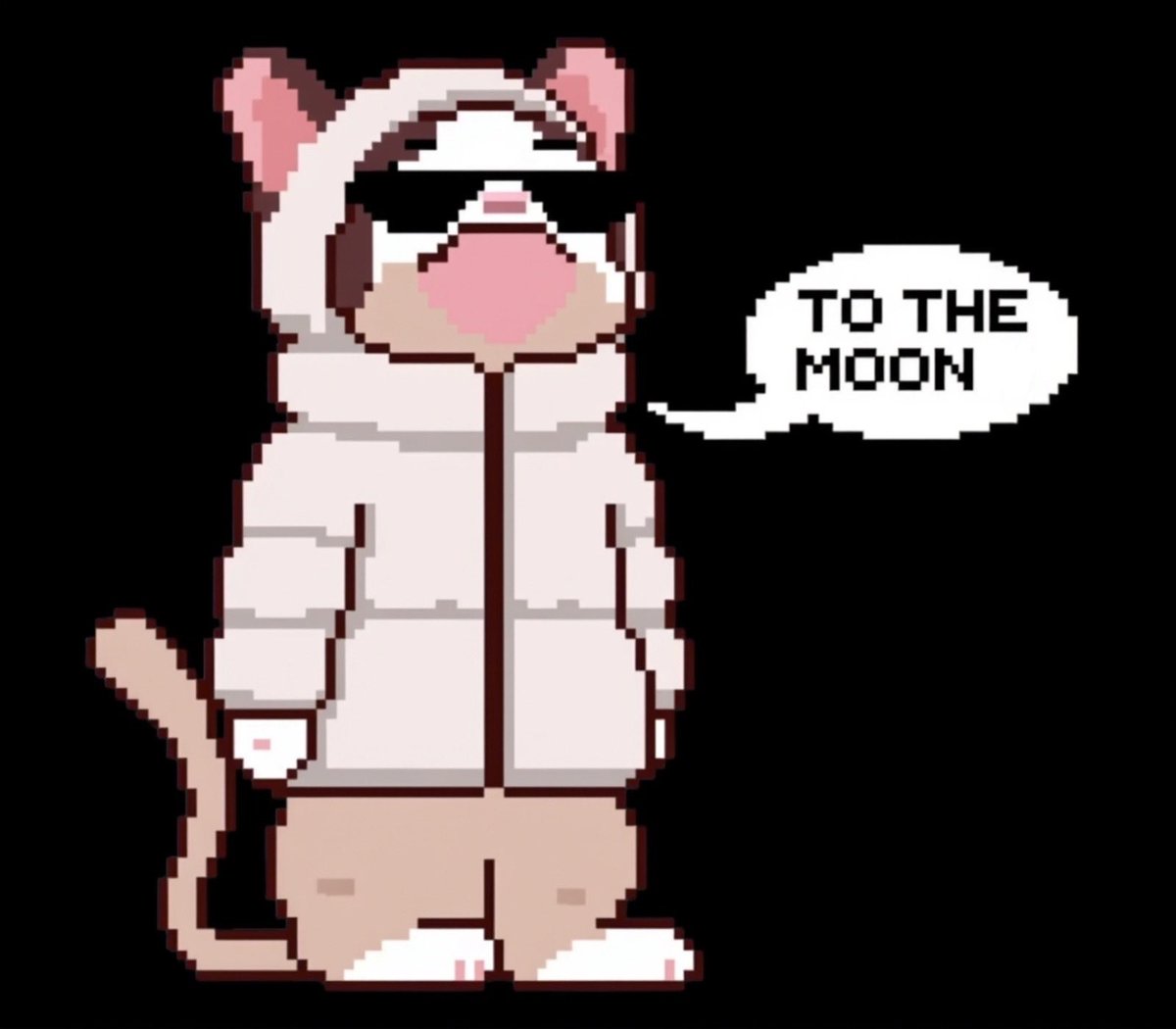 SatoshiPixcat's tweet photo. @PixcatOfficial @Crouserrr $PIXCAT huge ❤️ https://t.co/5ZZIYlnCSw