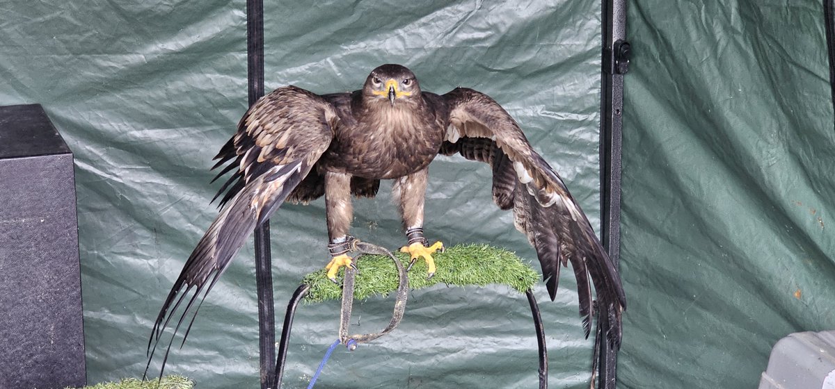 St Anne's Community Services tweet media