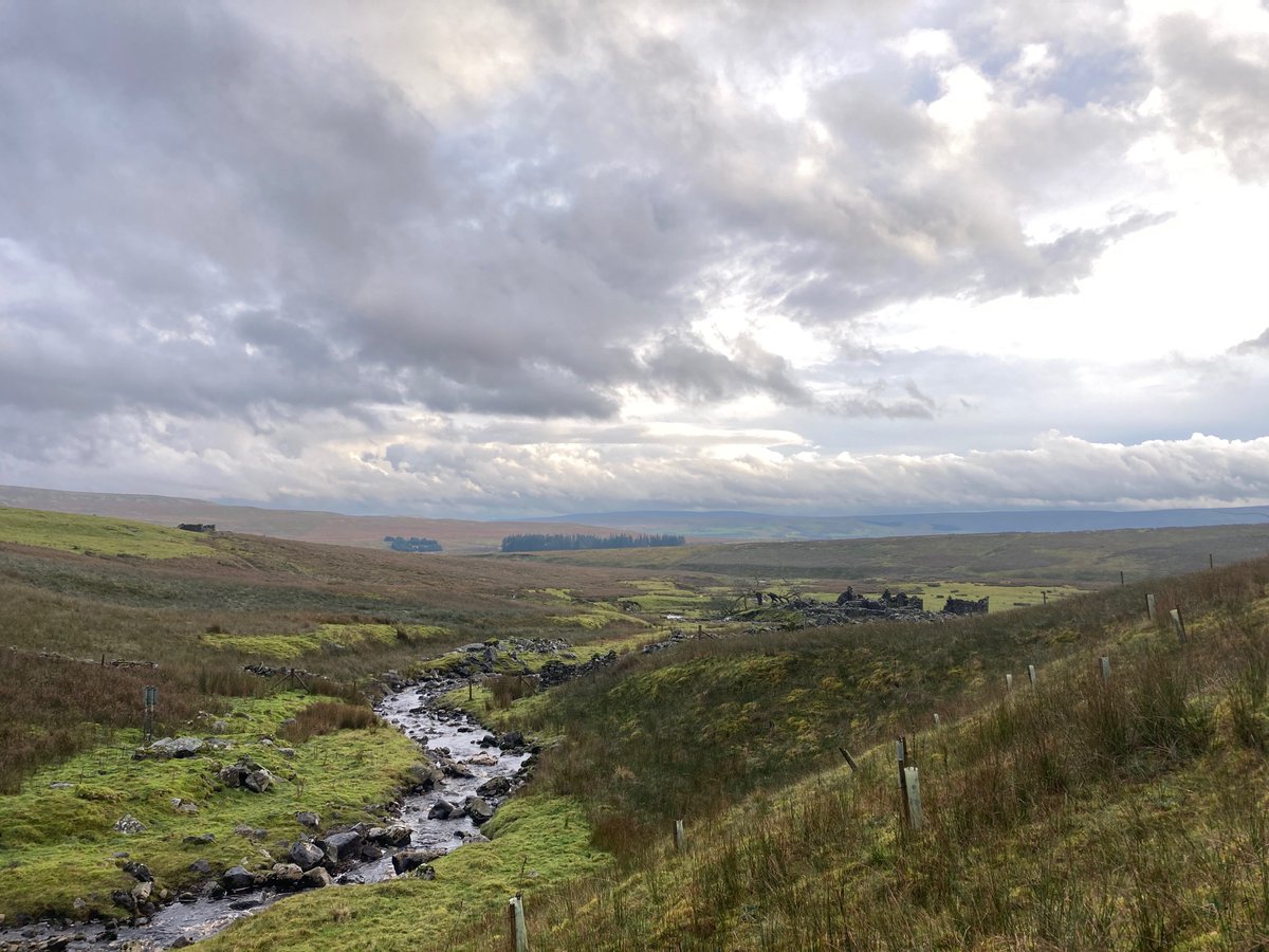 Tony Henderson (@hendrover) on Twitter photo Arts project aims to strengthen people's links to two of North's finest landscapes. <a href="/NorthPenninesNL/">North Pennines National Landscape</a> <a href="/yorkshire_dales/">Yorkshire Dales National Park</a> <a href="/HeritageFundNOR/">The National Lottery Heritage Fund North</a> <a href="/NHeartlands/">Northern Heartlands CIO</a> <a href="/NE_Museums/">North East Museums</a> <a href="/AzadehFatehrad/">Prof. Azadeh Fatehrad</a> culturednortheast.co.uk/p/connecting-l… Arts project aims to strengthen people's links to two of North's finest landscapes. <a href="/NorthPenninesNL/">North Pennines National Landscape</a> <a href="/yorkshire_dales/">Yorkshire Dales National Park</a> <a href="/HeritageFundNOR/">The National Lottery Heritage Fund North</a> <a href="/NHeartlands/">Northern Heartlands CIO</a> <a href="/NE_Museums/">North East Museums</a> <a href="/AzadehFatehrad/">Prof. Azadeh Fatehrad</a> culturednortheast.co.uk/p/connecting-l…