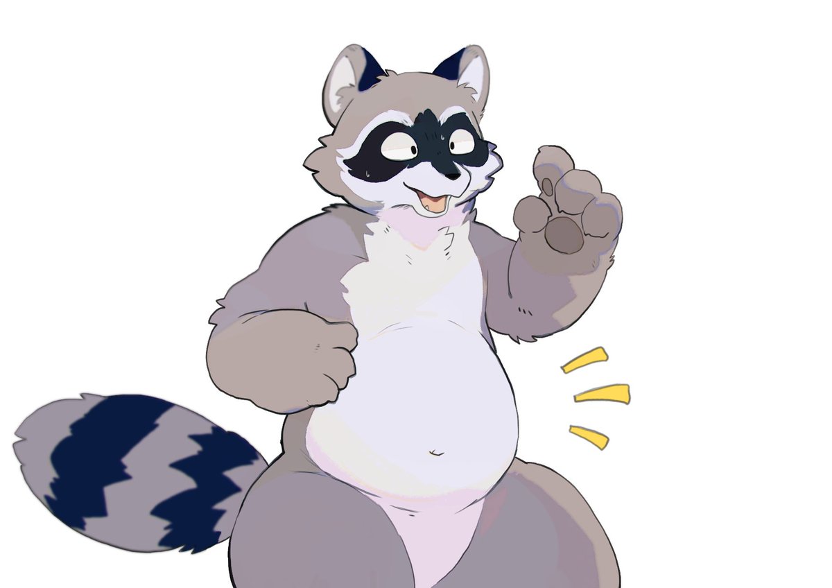 ポッチャリアライグマ🦝