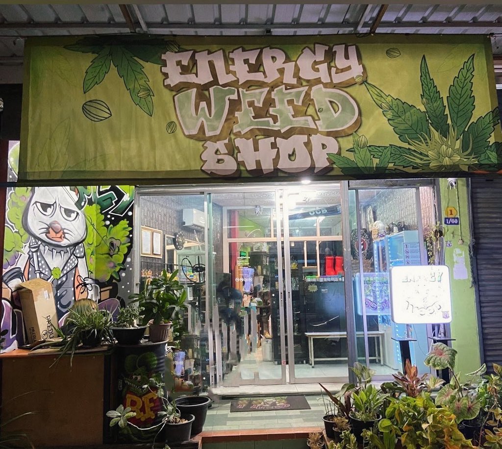 Energyweed2's tweet photo. #マリファナ #大麻 #ganja #marihuwana #weedsmokers #cannabisculture #cannabisstore #marijuana #Hemp #thc #THCA #indica #SATIVA #HYBRID #BONG #SKUNK #Canabidiol #tetrahybrocannabinol #ruderalis #sinesmilla #breeding
#energyweedshop
#กัญชา #กัญชากรุงเทพ https://t.co/WDUvmvimKW